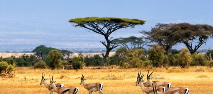 Sustainable development